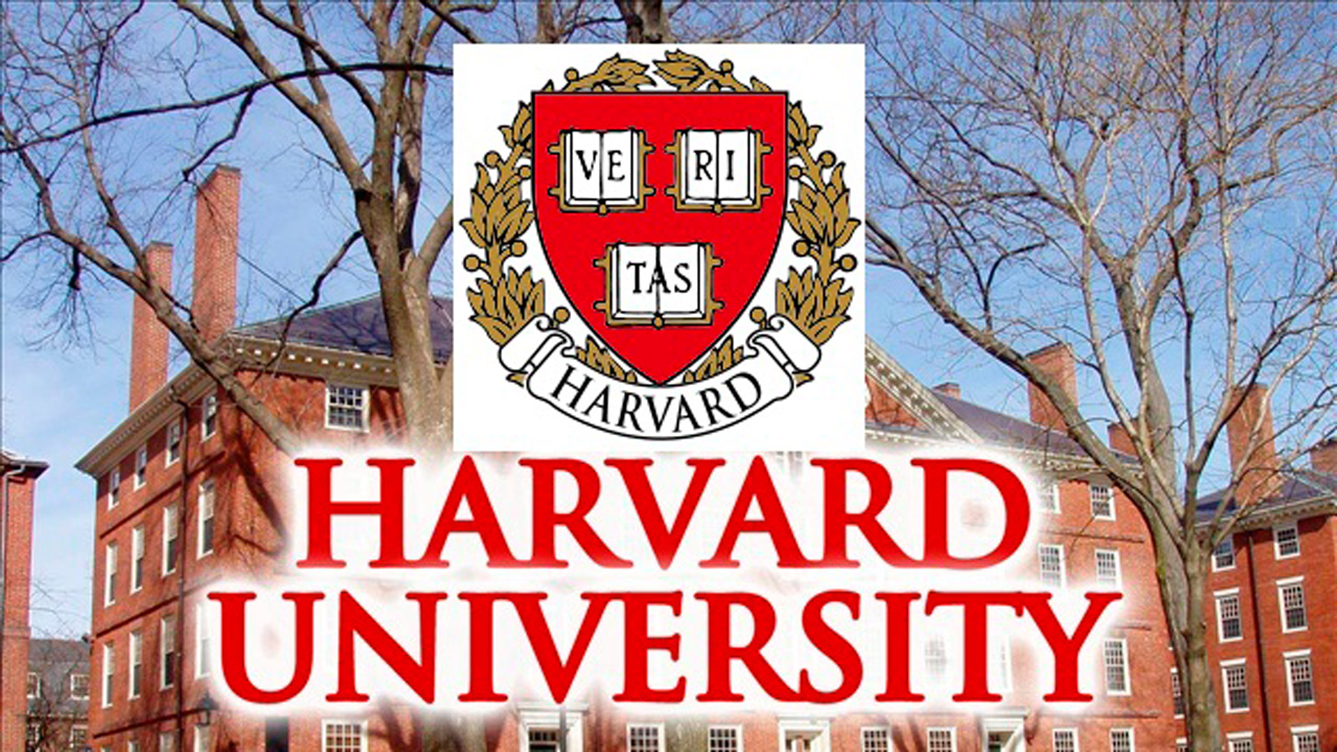 Гарвардський  курс з основ програмування CS50